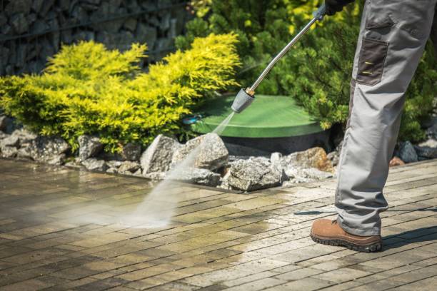 Best Sidewalk and Walkway Cleaning  in Falmouth, KY