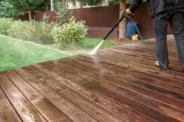 Best Solar Panel Cleaning  in Falmouth, KY